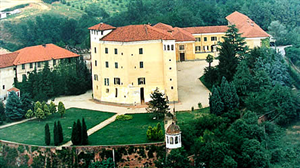 Il Castello